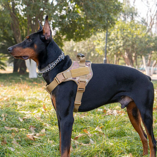 Gilet Tactique Canin – Sécurité & Contrôle