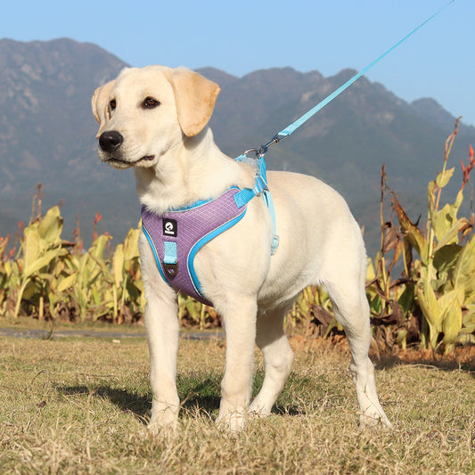 Harnais Respirant pour Chien – Réglable & Anti-Évasion