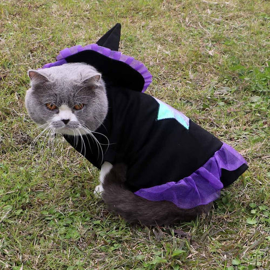 Vêtements d'Halloween pour chat sorcier de Noël