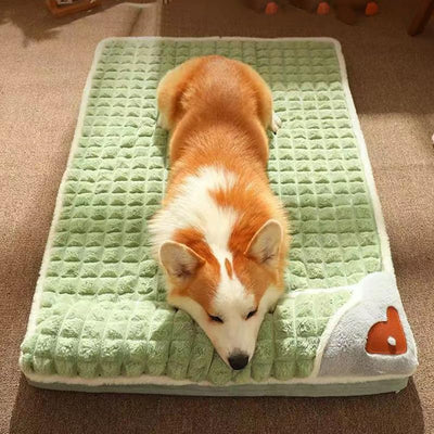 Lits et tapis  pour chien