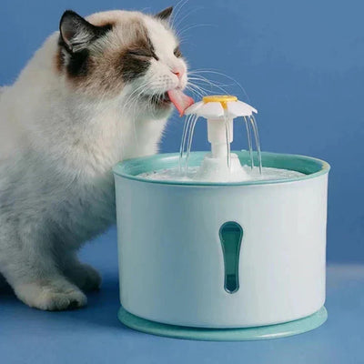 Alimentation pour chats