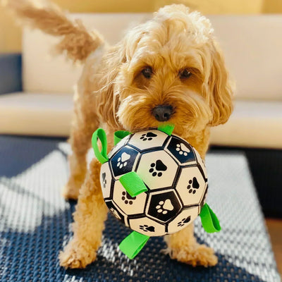 Jouets  pour chien