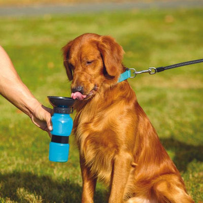 Tous les produits pour chiens
