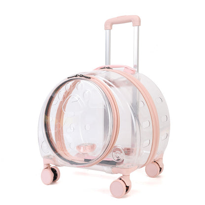 Sac à roulettes pour chat entièrement transparent