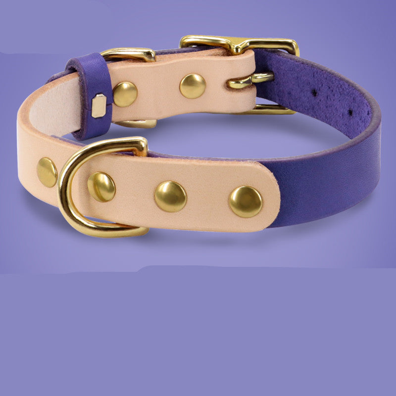 Collier en cuir pour chat