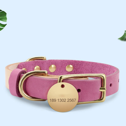 Collier en cuir pour chat