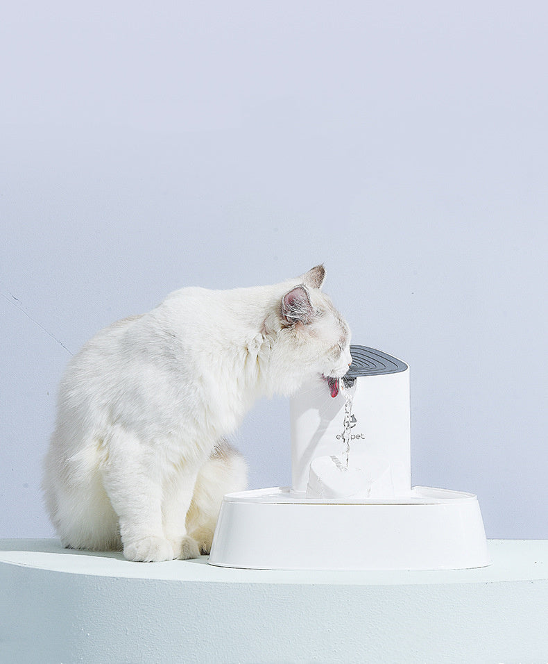 Fontaine à eau pour chat à circulation continue