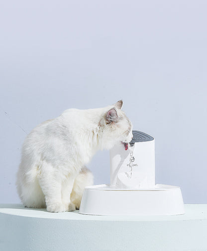 Fontaine à eau pour chat à circulation continue