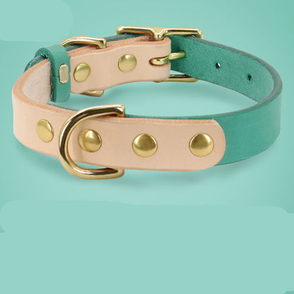 Collier en cuir pour chat