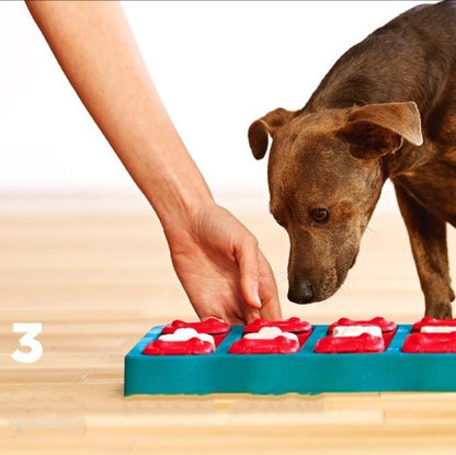 Boîte de déménagement pour animaux de compagnie