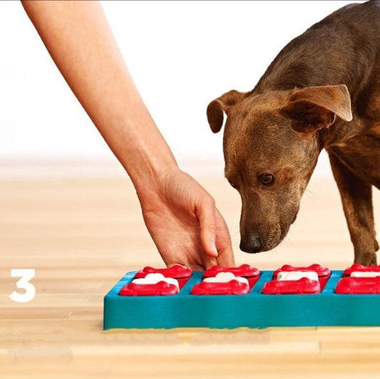 Boîte de déménagement pour animaux de compagnie