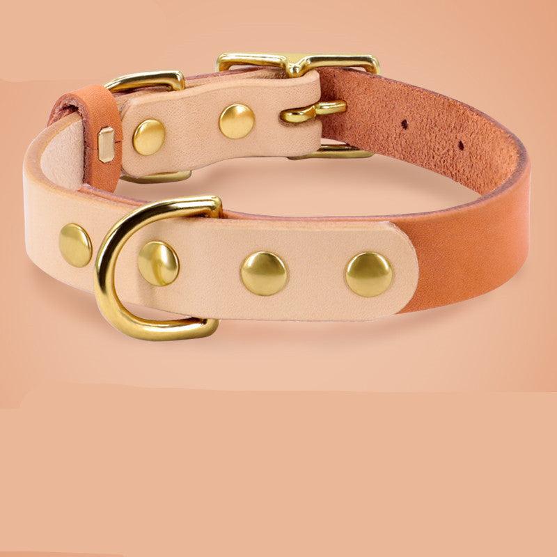 Collier en cuir pour chat