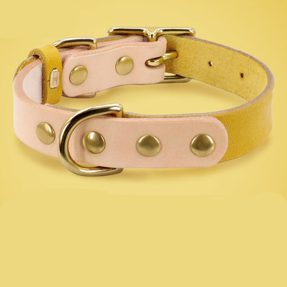 Collier en cuir pour chat