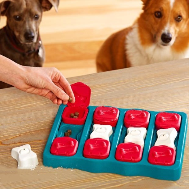 Boîte de déménagement pour animaux de compagnie