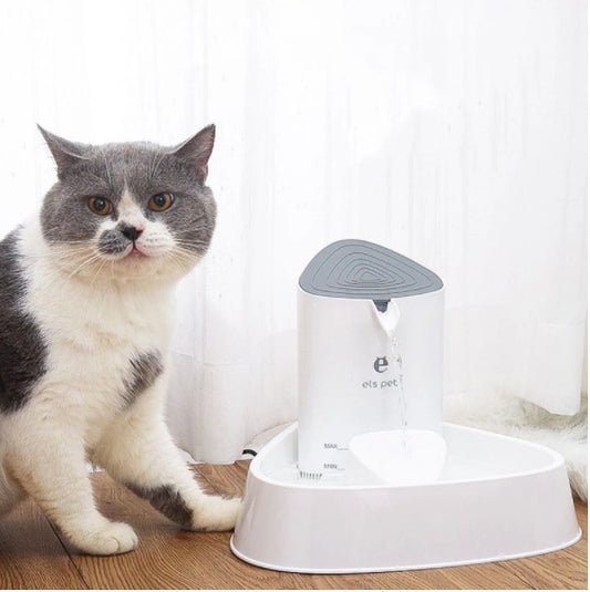 Fontaine à eau pour chat à circulation continue