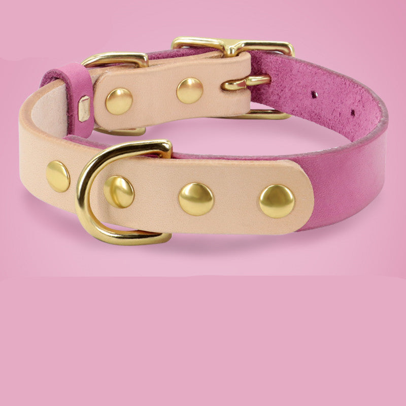 Collier en cuir pour chat