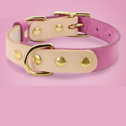 Collier en cuir pour chat