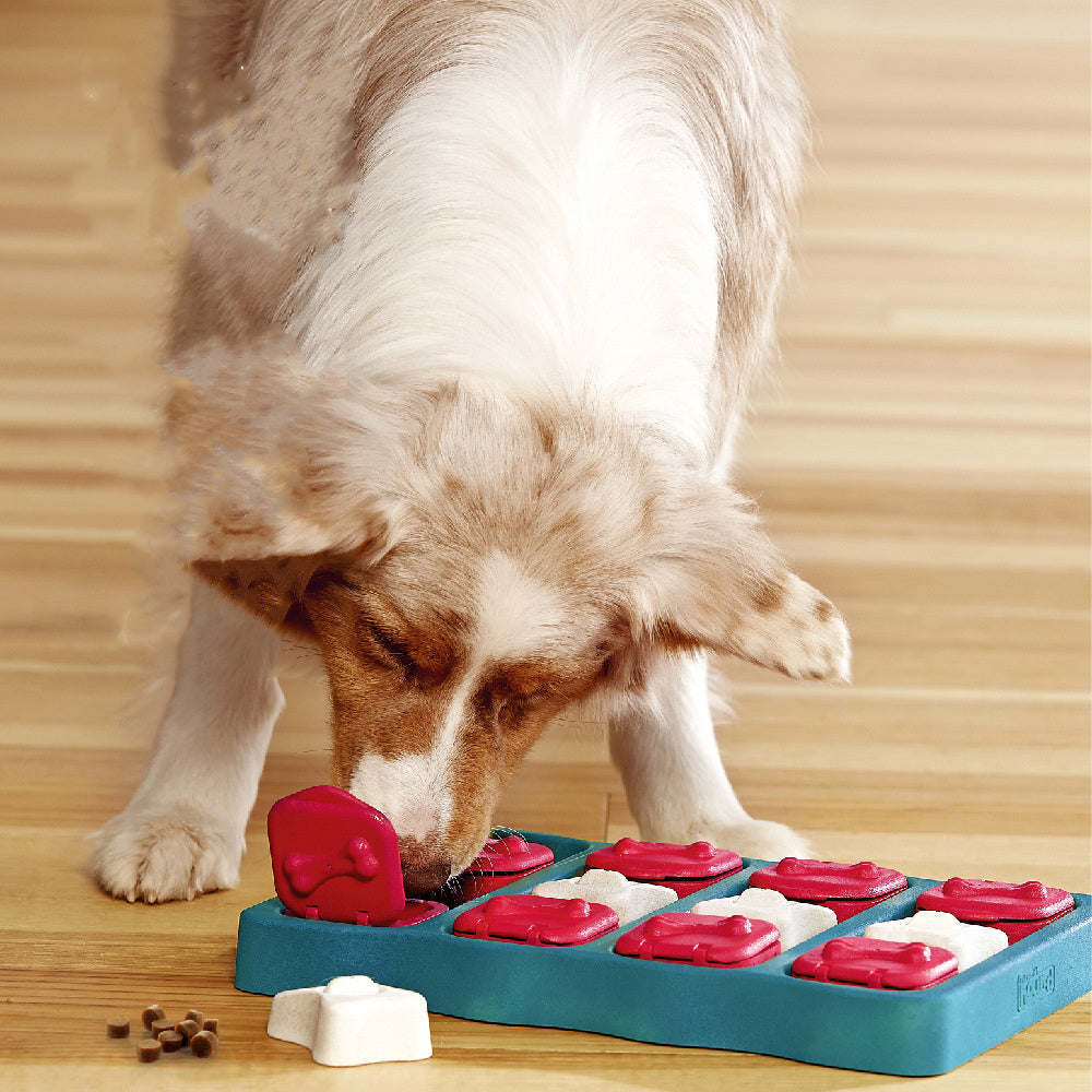 Boîte de déménagement pour animaux de compagnie