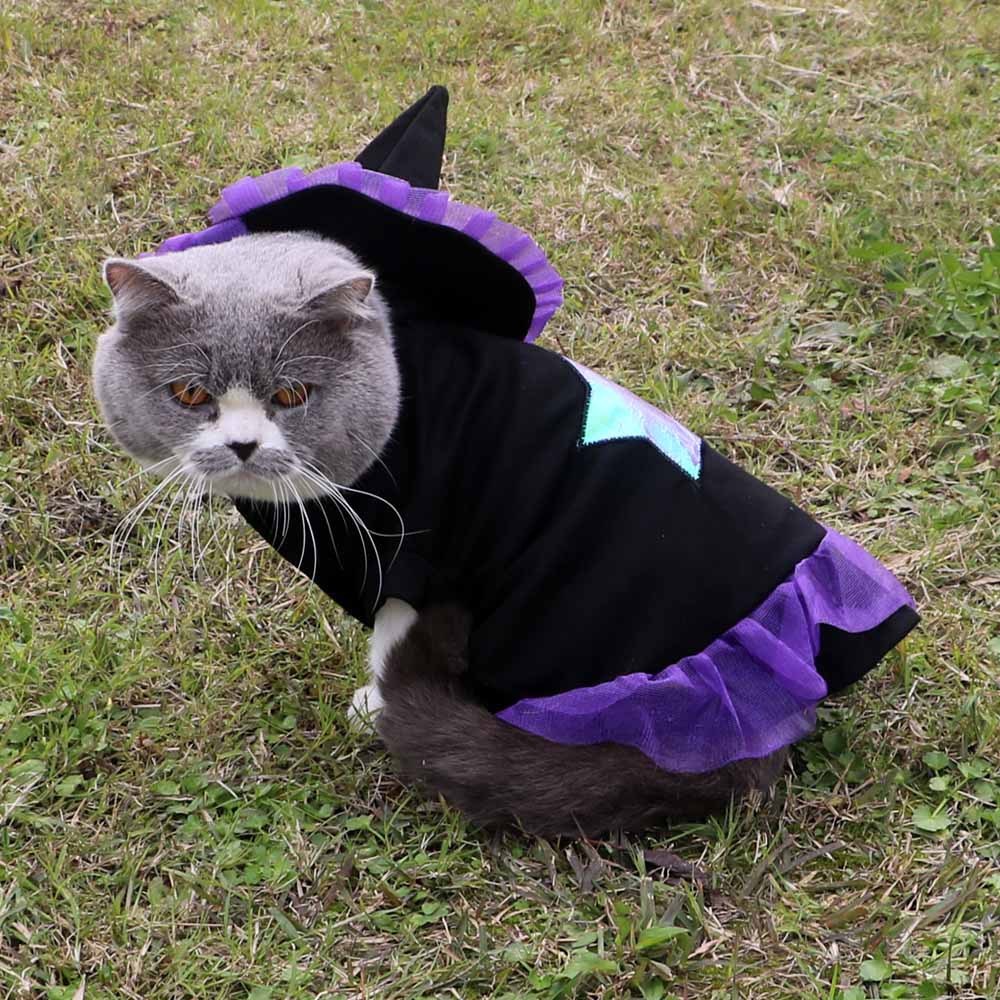 Vêtements d'Halloween pour chat sorcier de Noël