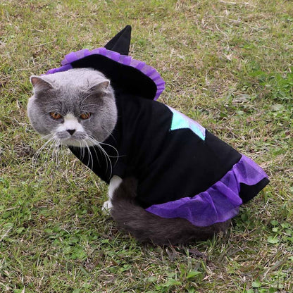 Vêtements d'Halloween pour chat sorcier de Noël