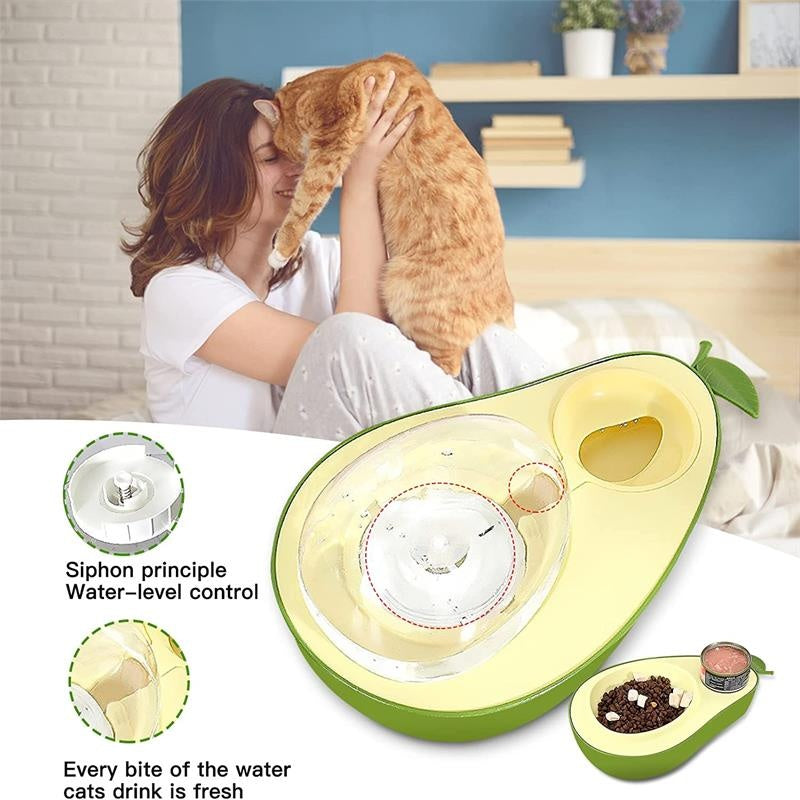 Avocat’Pet – Fontaine & Gamelle 2-en-1