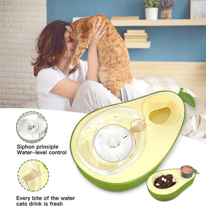 Avocat’Pet – Fontaine & Gamelle 2-en-1