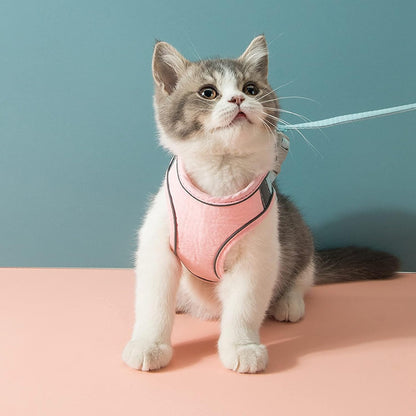 Ensemble de harnais réglable pour chat