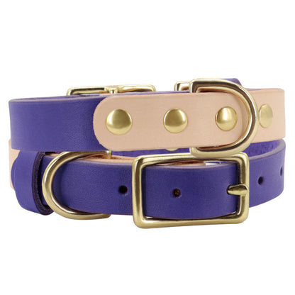 Collier en cuir pour chat