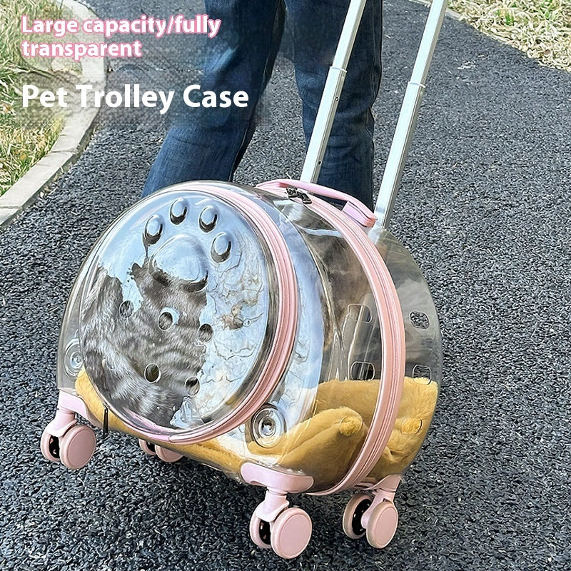 Sac à roulettes pour chat entièrement transparent