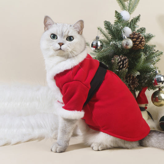 Vêtements de Noël pour chats d'automne et d'hiver