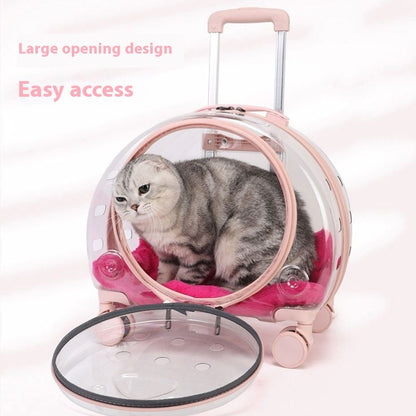 Sac à roulettes pour chat entièrement transparent