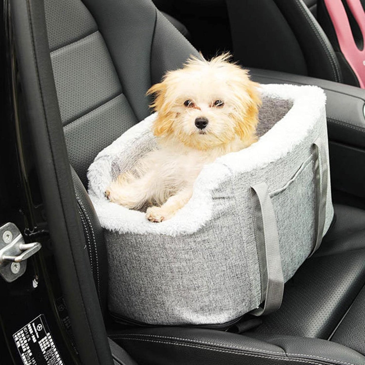 Cage de transport pour animaux de compagnie