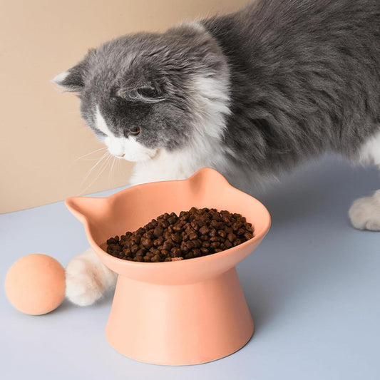 Gamelles pour chats