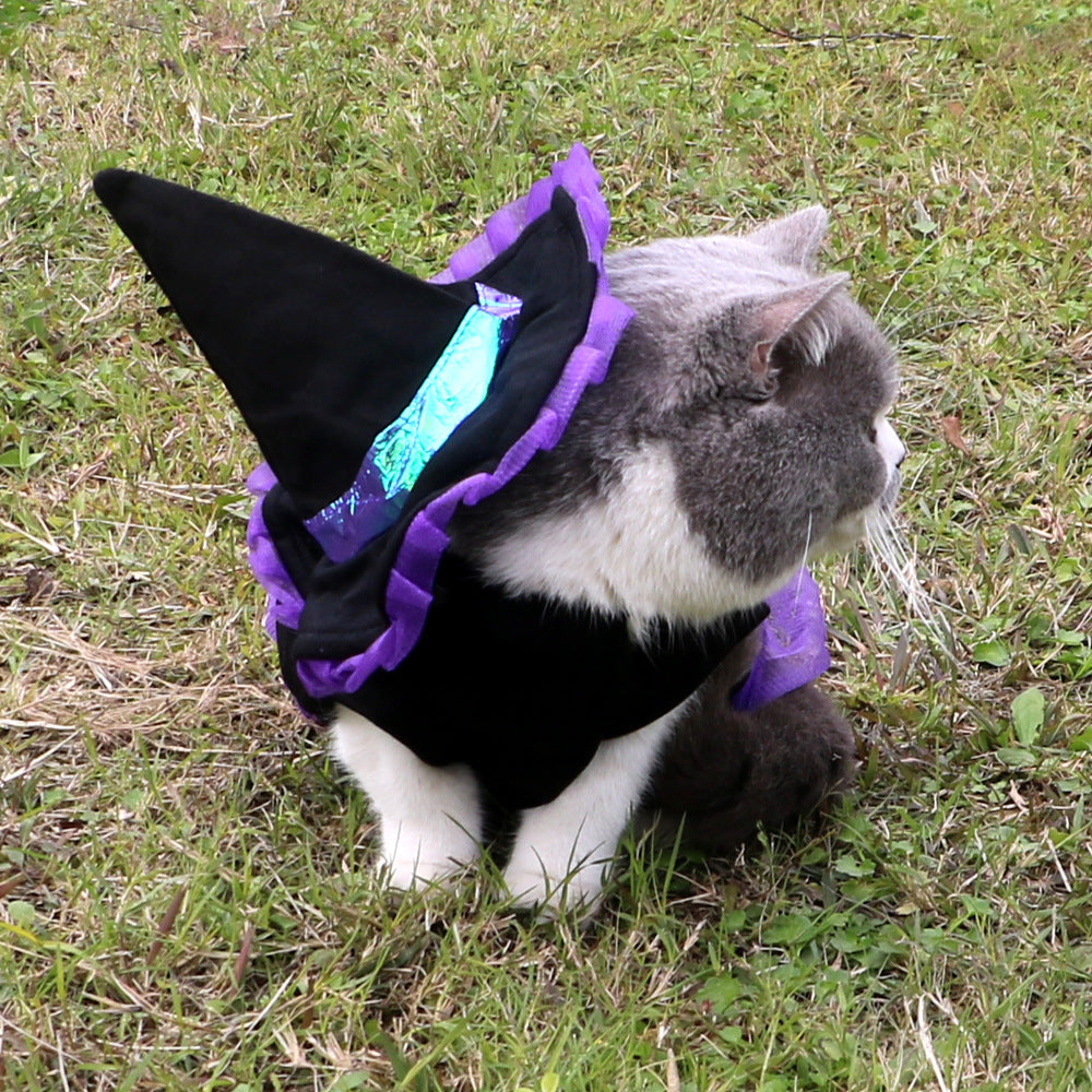 Vêtements d'Halloween pour chat sorcier de Noël