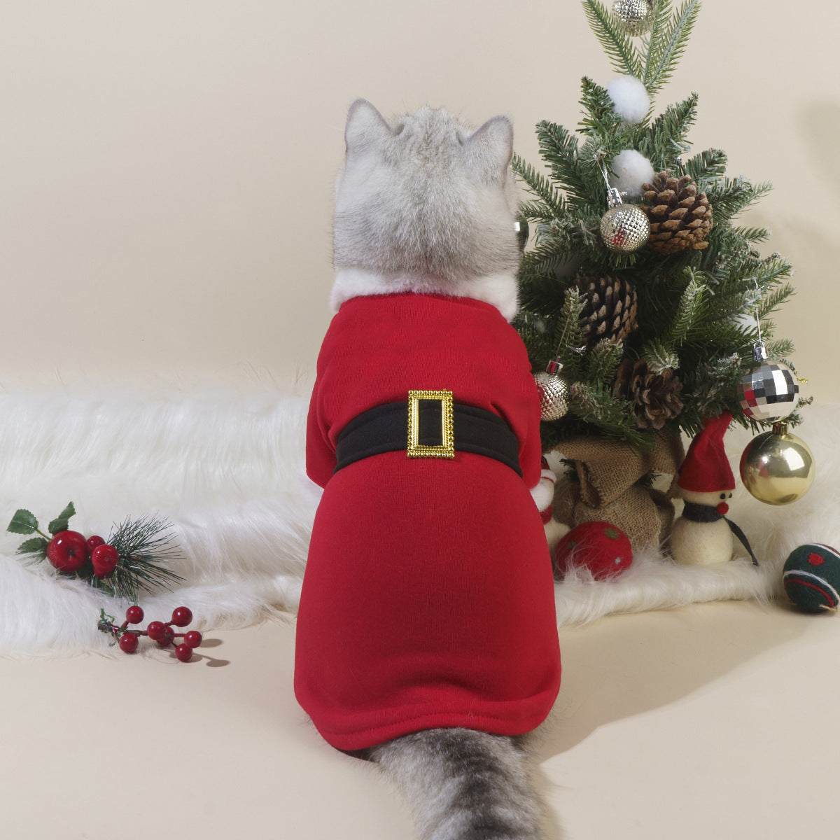 Vêtements de Noël pour chats d'automne et d'hiver