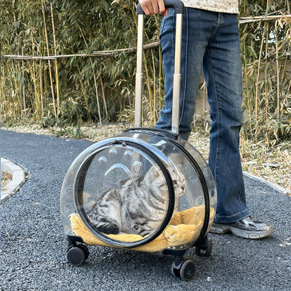 Sac à roulettes pour chat entièrement transparent