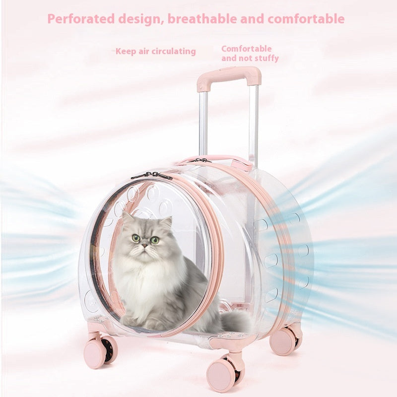 Sac à roulettes pour chat entièrement transparent