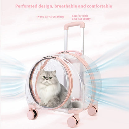 Sac à roulettes pour chat entièrement transparent