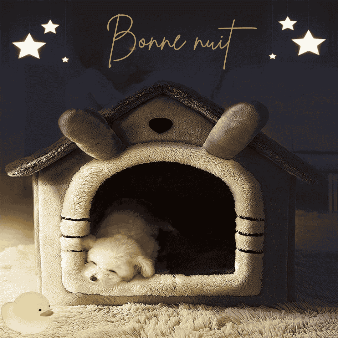 Niche pliable pour animaux de compagnie