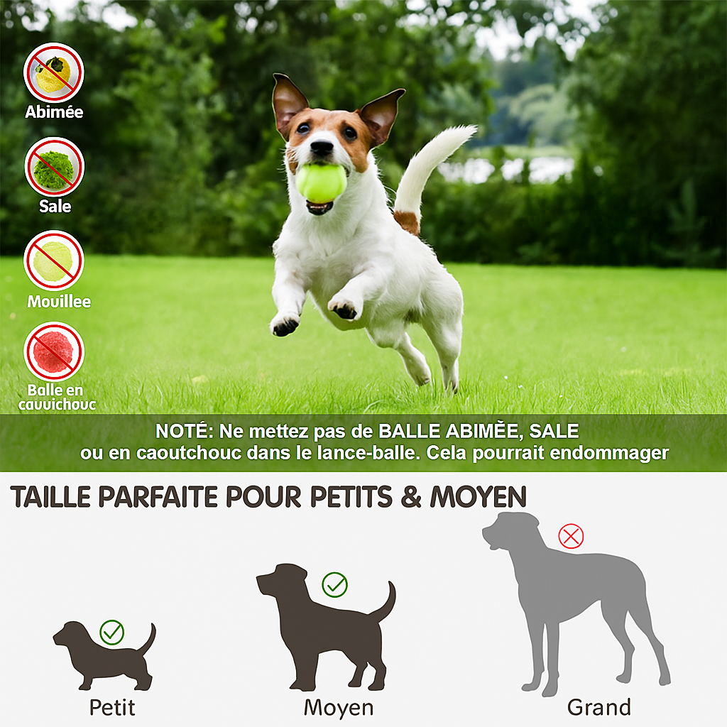 Lanceur automatique de balles pour animaux de compagnie