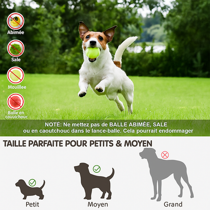 Lanceur automatique de balles pour animaux de compagnie