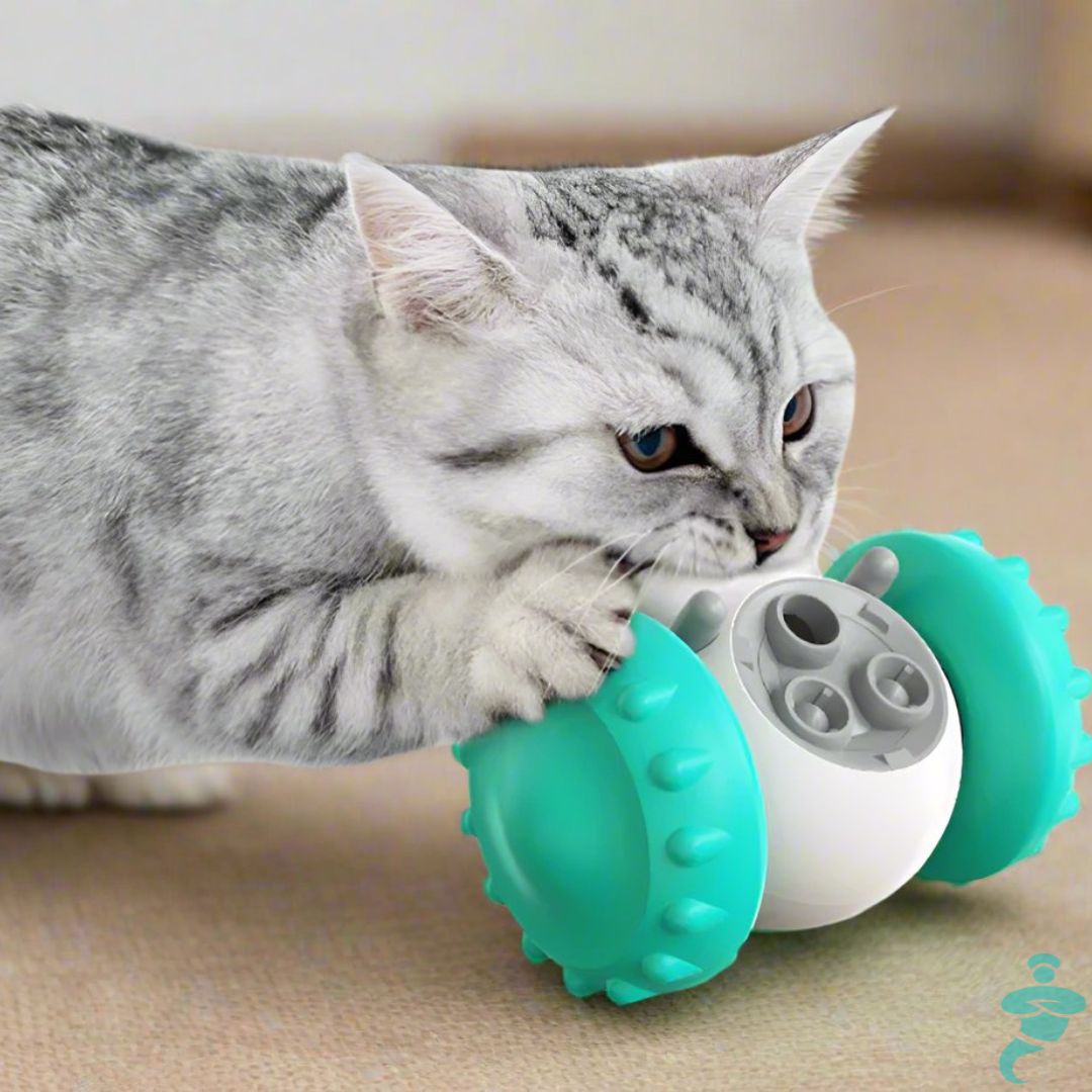 Jouets distributeurs de friandises pour chiens