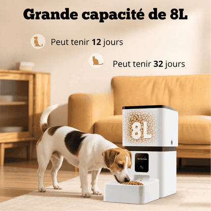 Distributeur automatique de nourriture pour chat