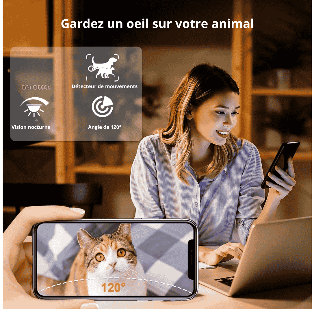 Distributeur automatique de nourriture pour chat