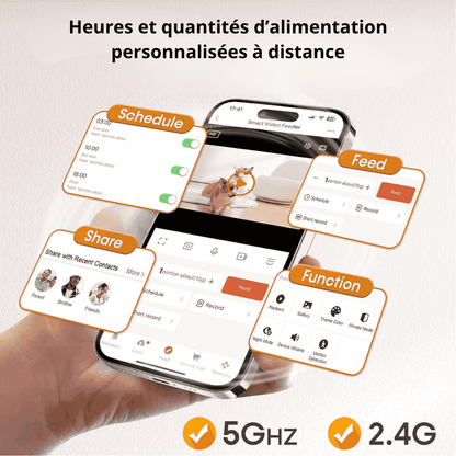 Distributeur automatique de nourriture pour chat