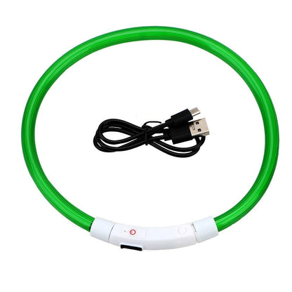 Collier lumineux LED pour chien