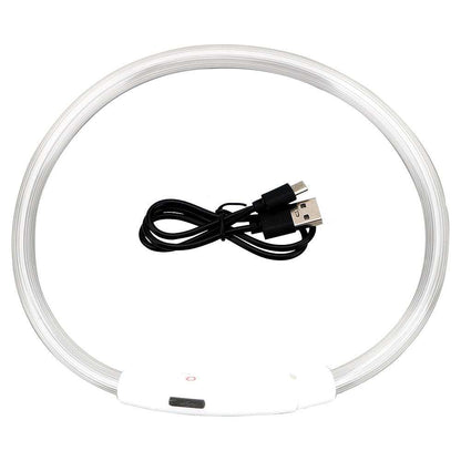 Collier lumineux LED pour chien