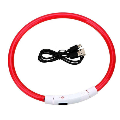 Collier lumineux LED pour chien
