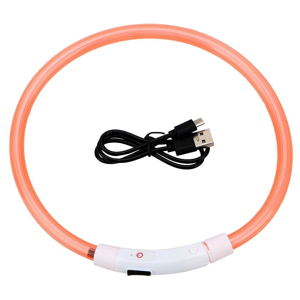 Collier lumineux LED pour chien