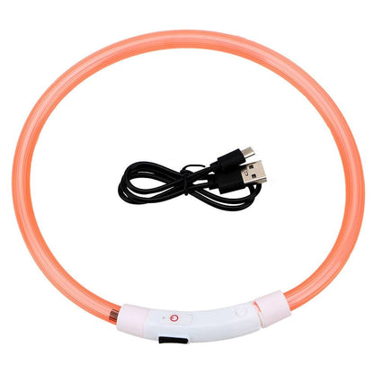 Collier lumineux LED pour chien